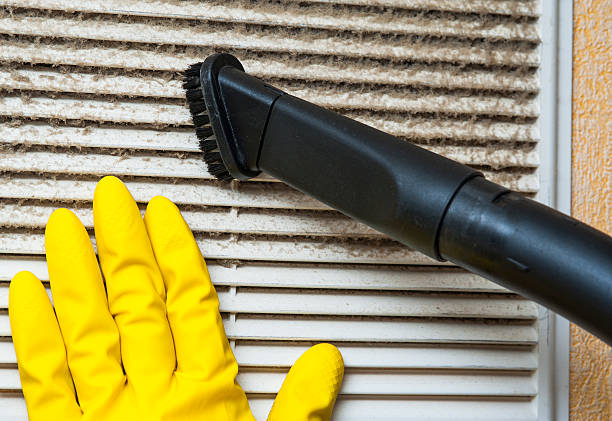 Best Air Quality Test  in Cicero, IL